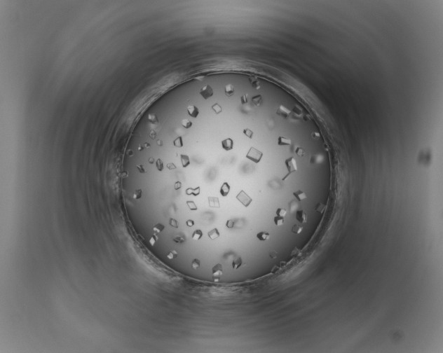 X0000111170857200907151257