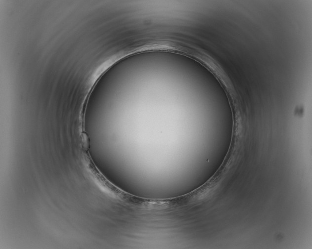 X0000111170858200907151257