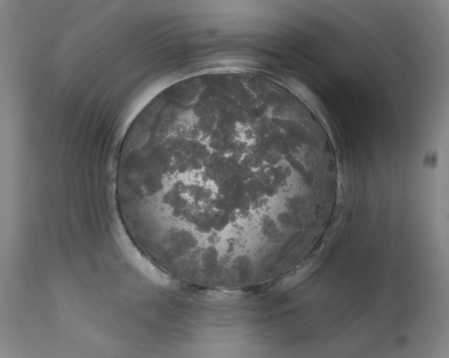 X0000111170859200907151257