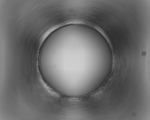 X0000111170861200907151257