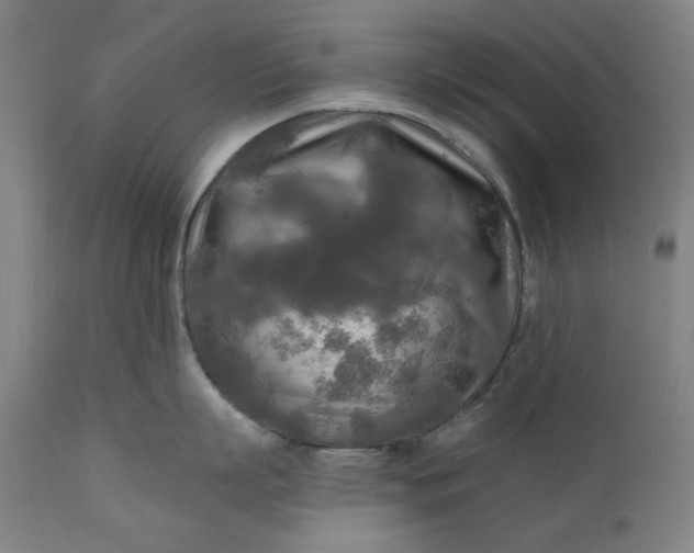 X0000111170863200907151257