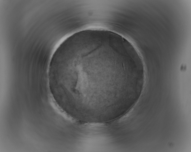 X0000111170864200907151257