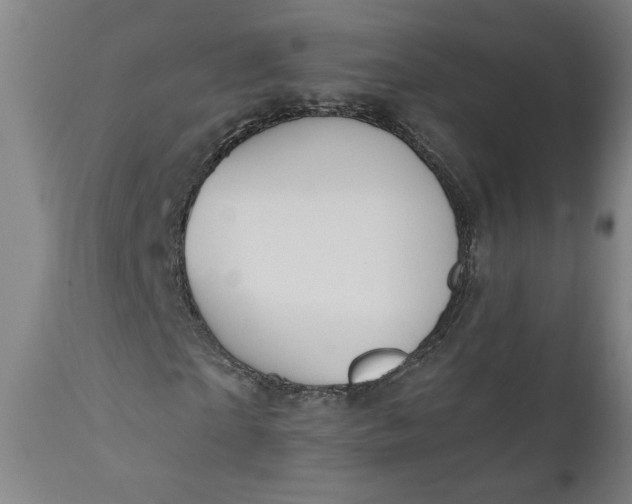 X0000111170865200907151256