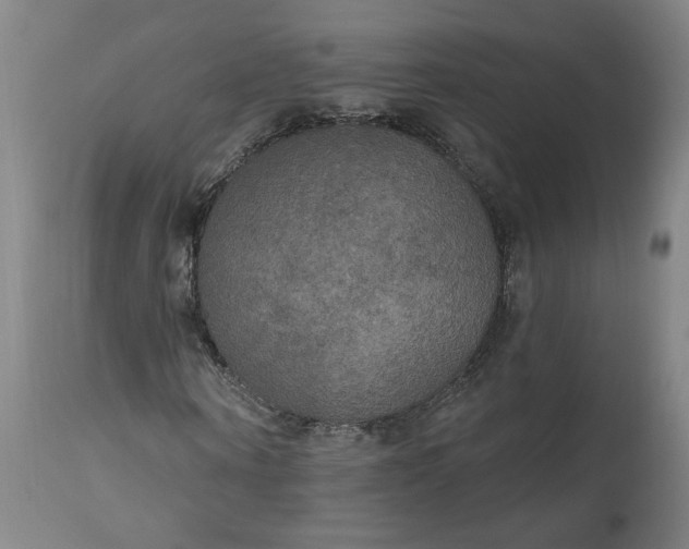 X0000111170866200907151256