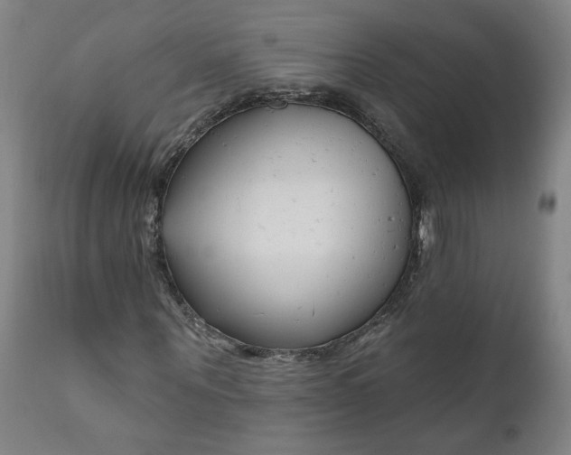 X0000111170867200907151256