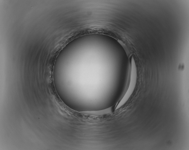 X0000111170868200907151256