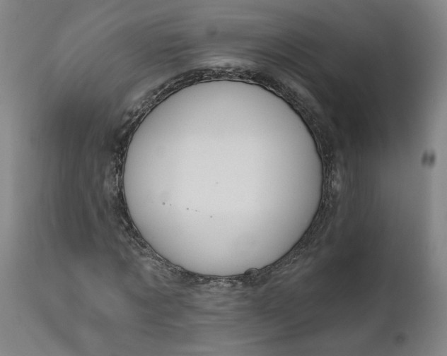 X0000111170869200907151256