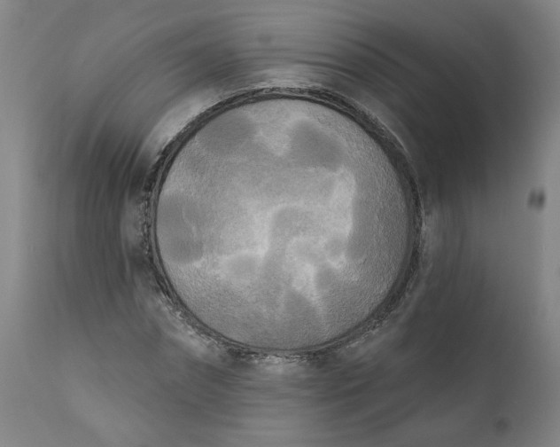 X0000111170874200907151256