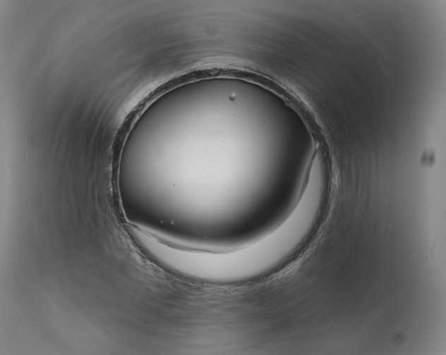 X0000111170877200907151256