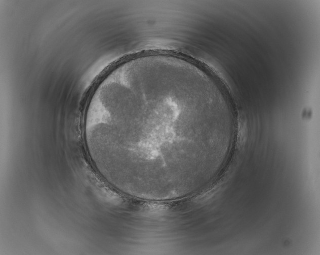 X0000111170878200907151256