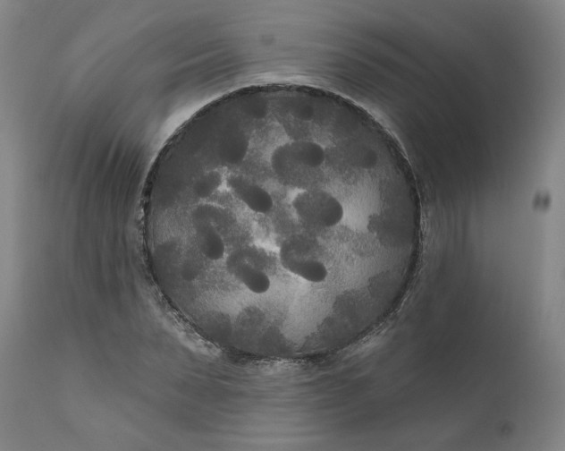 X0000111170879200907151256