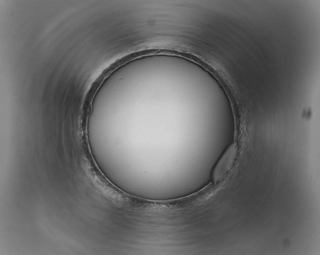 X0000111170880200907151256