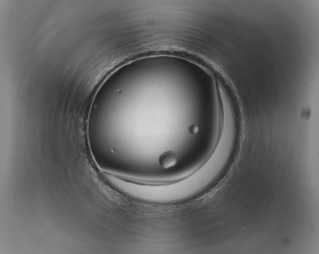 X0000111170881200907151256