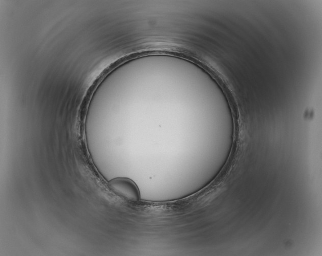 X0000111170883200907151256