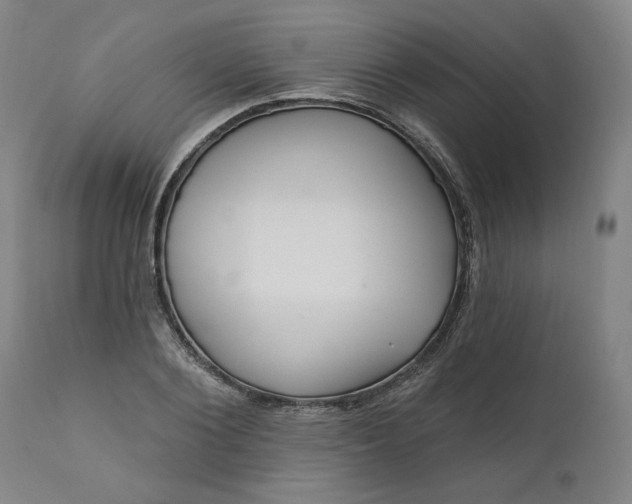 X0000111170884200907151256