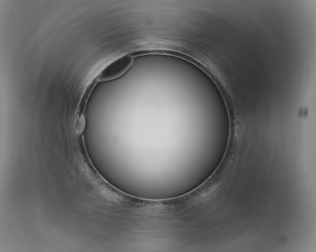 X0000111170885200907151256