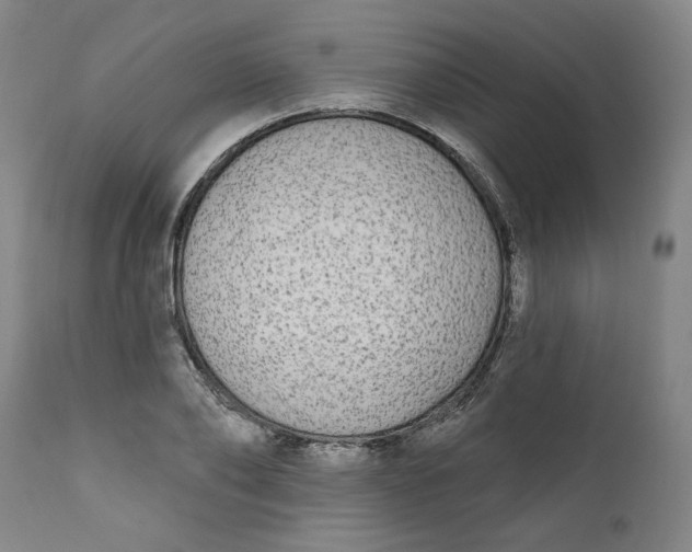 X0000111170886200907151256