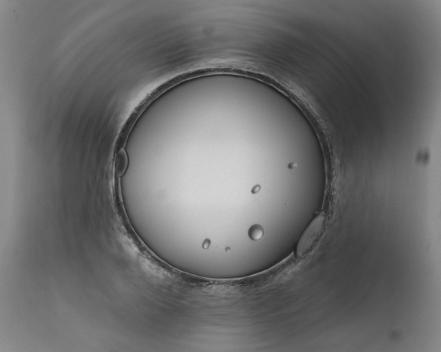 X0000111170888200907151256