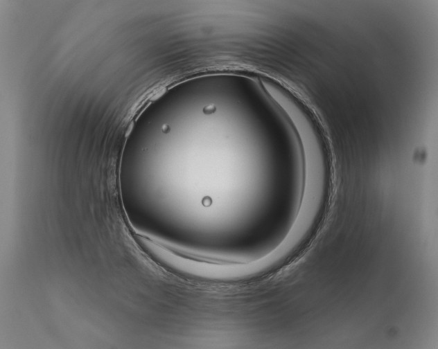 X0000111170889200907151256