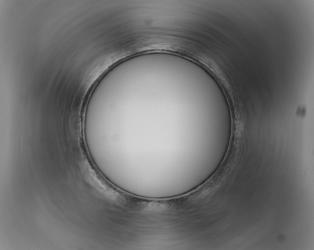 X0000111170890200907151256