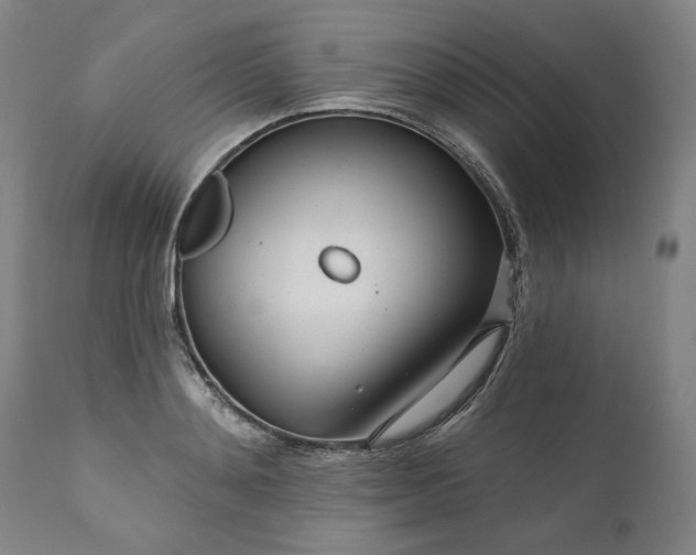 X0000111170892200907151256