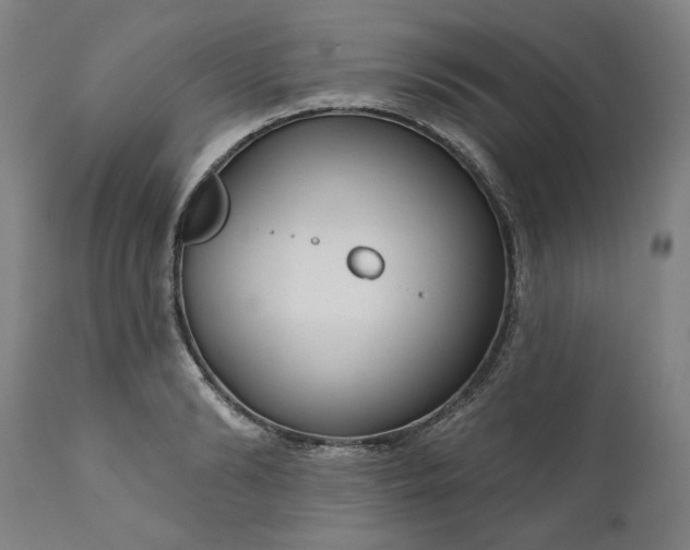 X0000111170894200907151256