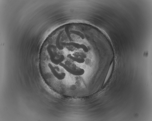 X0000111170895200907151256