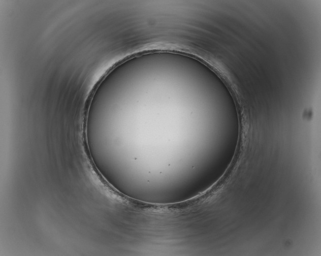 X0000111170896200907151256