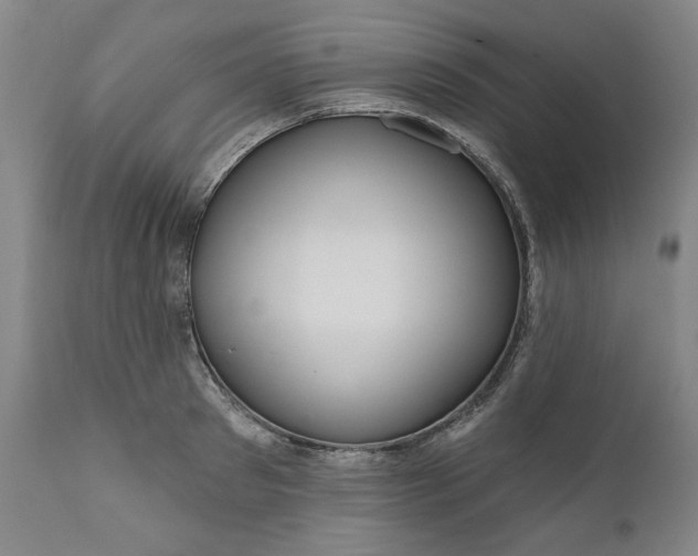 X0000111170897200907151256