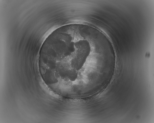 X0000111170899200907151256