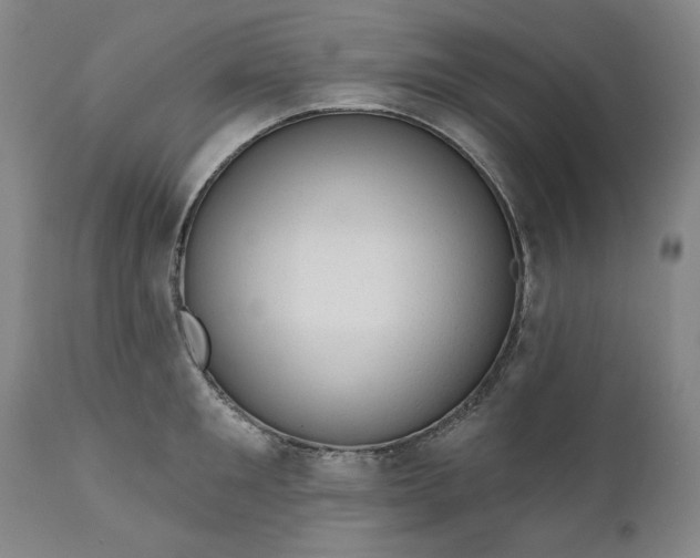 X0000111170901200907151256