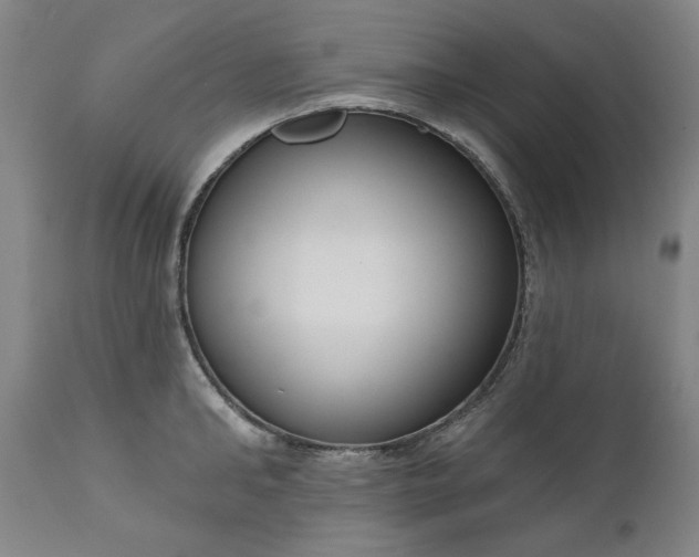 X0000111170902200907151256