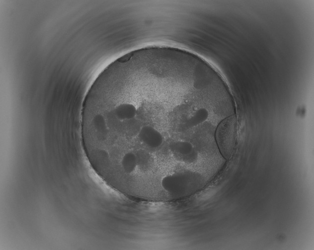 X0000111170903200907151256