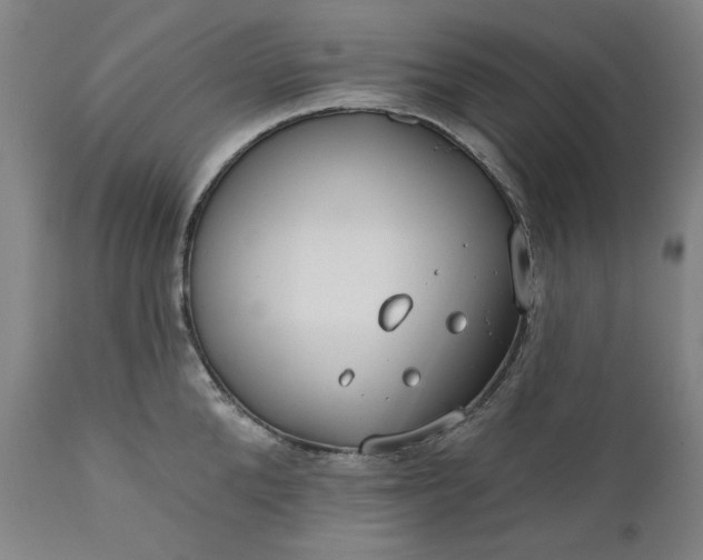 X0000111170904200907151256