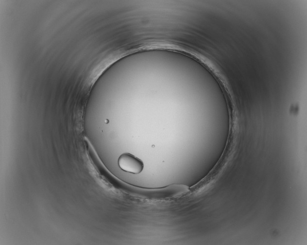 X0000111170905200907151256