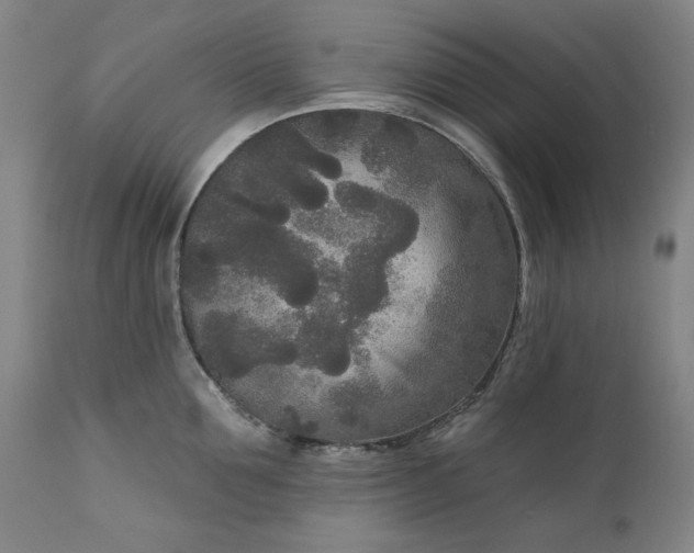 X0000111170907200907151256