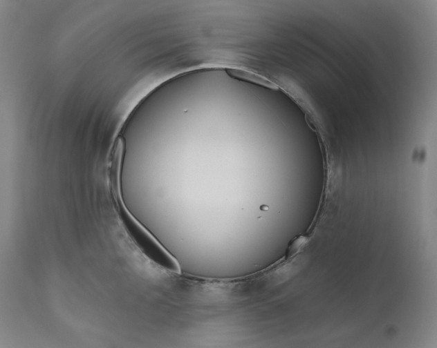 X0000111170908200907151256