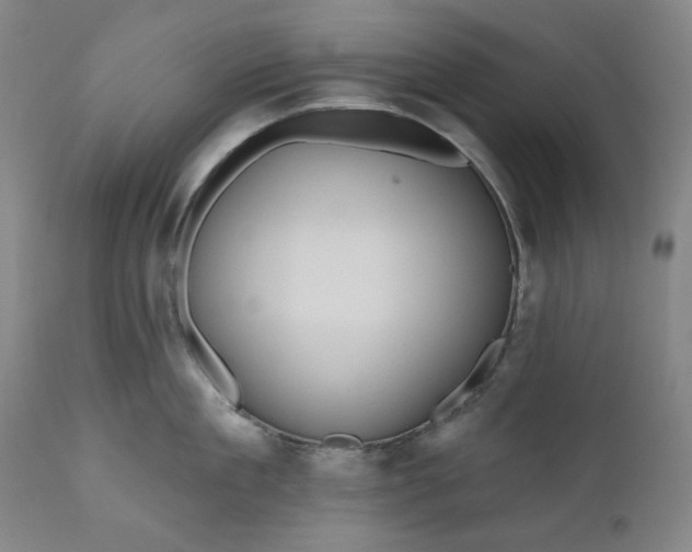 X0000111170909200907151256