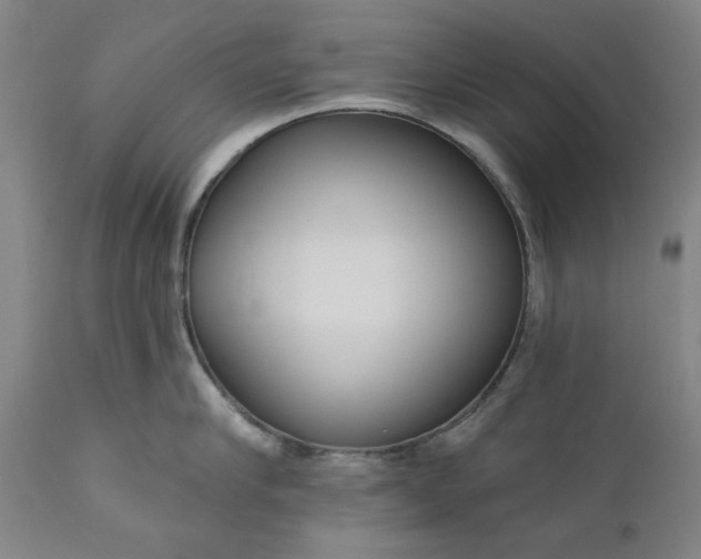 X0000111170910200907151256