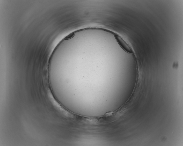 X0000111170911200907151256