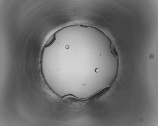 X0000111170912200907151255