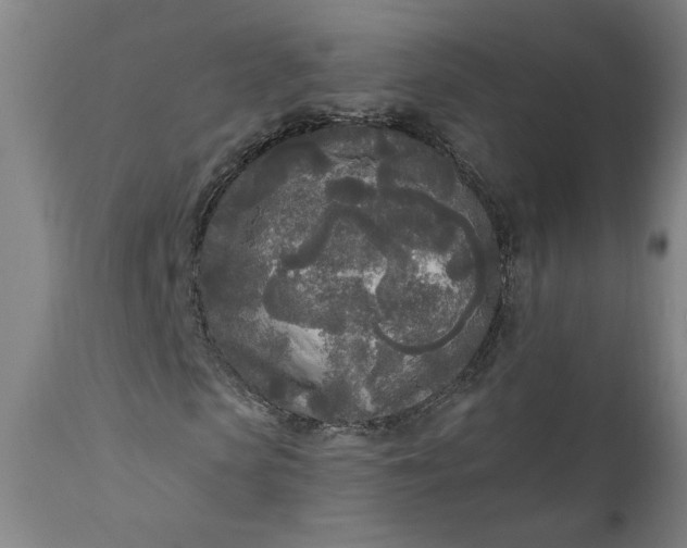 X0000111170913200907151255