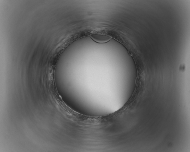 X0000111170914200907151255