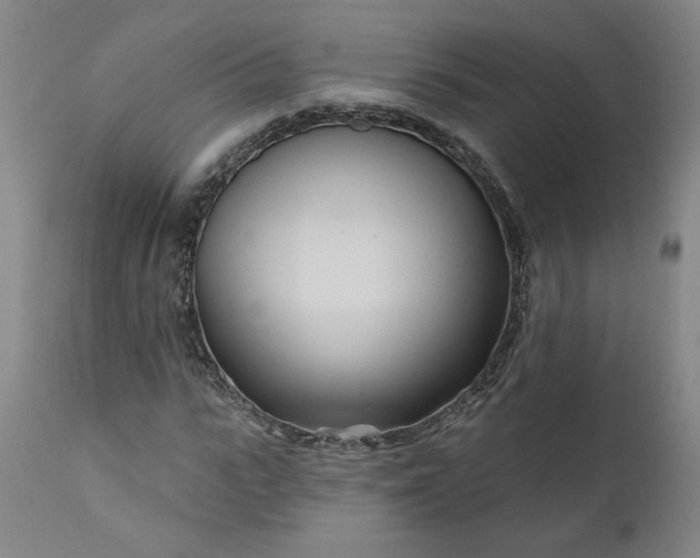 X0000111170919200907151255