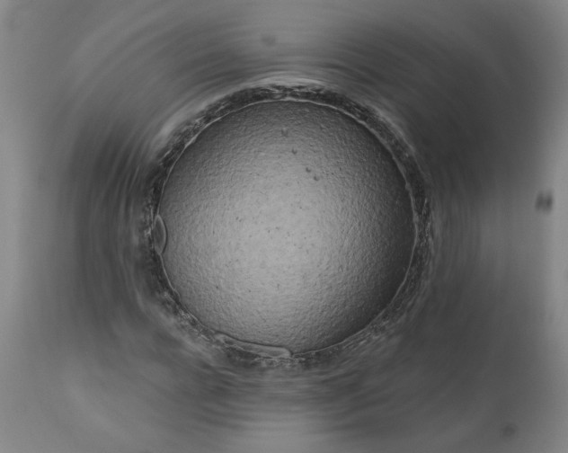 X0000111170920200907151255