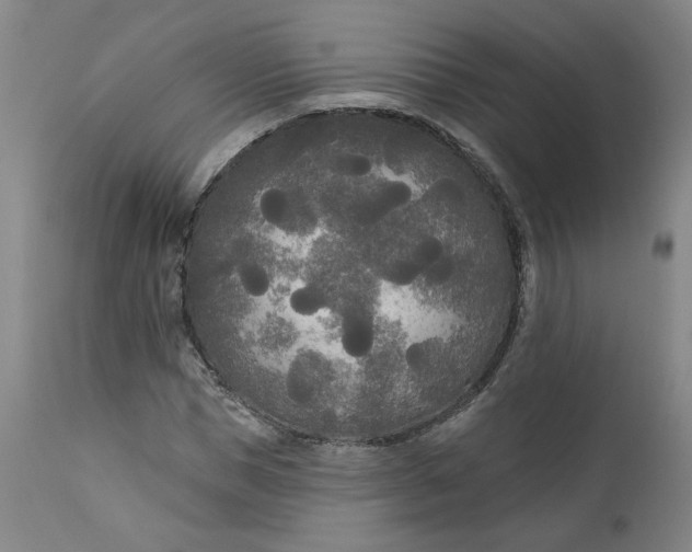 X0000111170921200907151255