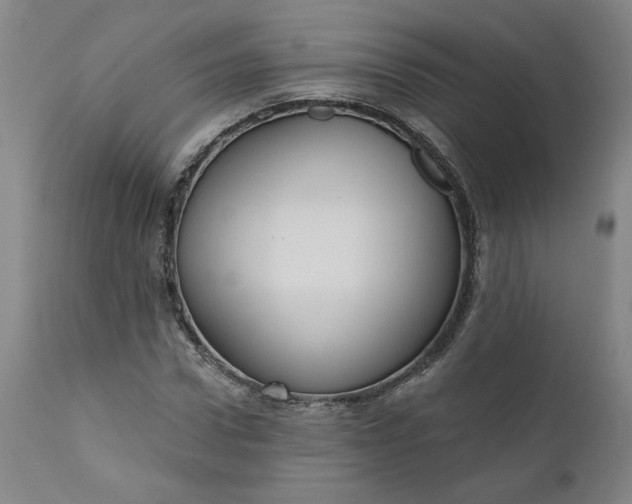 X0000111170922200907151255