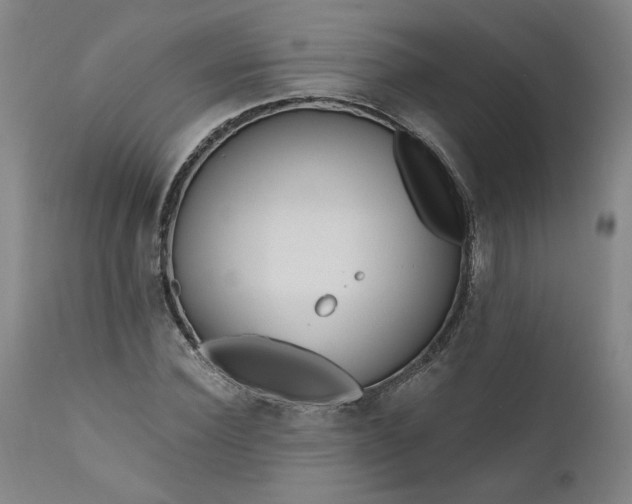 X0000111170924200907151255