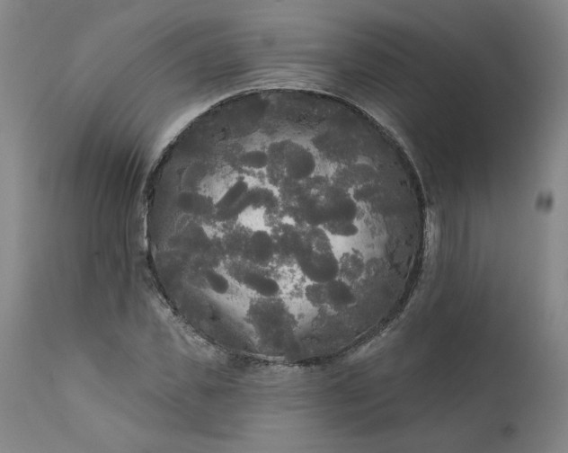 X0000111170925200907151255