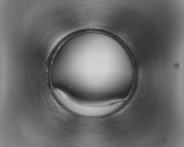 X0000111170926200907151255